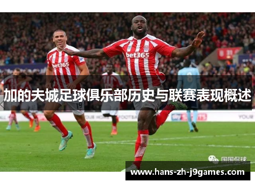 加的夫城足球俱乐部历史与联赛表现概述